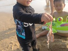 -沙扒湾