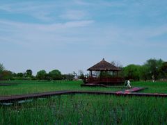 -梁鸿国家湿地公园