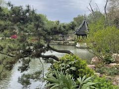-上海醉白池公园