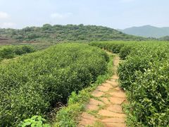 -许家山