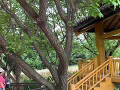 -黑龙江省森林植物园