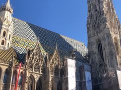 -斯蒂芬主教座堂(Stephansdom)