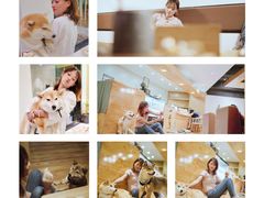 -柴务处·柴犬主题狗咖