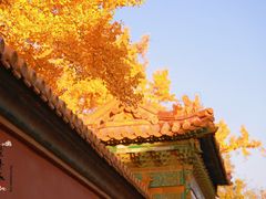 -故宫博物院(故宫)