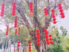 -东风公园