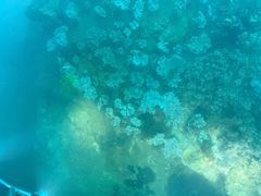 -亚龙湾海底世界