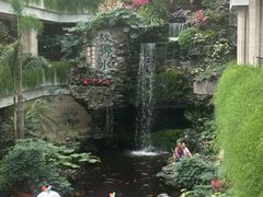 -白天鹅宾馆-宏图府餐厅