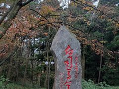 -庐山风景区花径公园