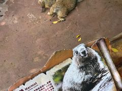 -长鹿旅游休博园