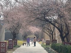 -国际非物质文化遗产博览园
