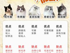 -翊宠yipet猫狗购宠庄园犬舍•猫舍