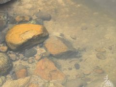 -海南热带雨林国家公园吊罗山景区