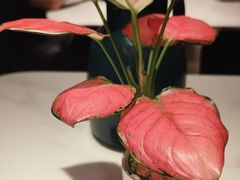-上上席川菜(凯德乐峰广场店)
