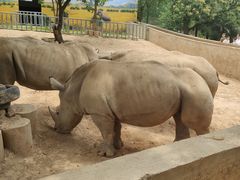 -西安秦岭野生动物园