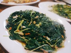 -肥信潮菜(科新路店)