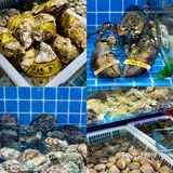 感谢天津网友推荐，这家店真的好吃哭了 