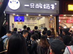-一只酸奶牛(八一路店)