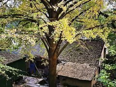 -北山街历史文化街区