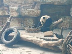 -石家庄市动物园