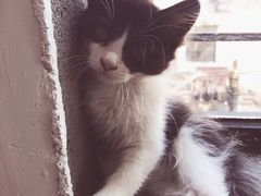 -五月木作·DIY木作文创体验店(北京路店)