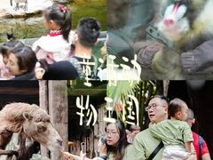 -长鹿旅游休博园