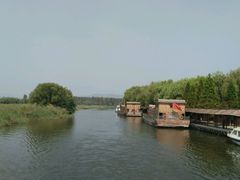 -微山湖红荷湿地景区