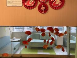 -杭州贝瑞斯美华妇儿医院·早孕·产检·儿科