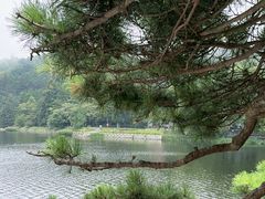 -庐山风景区花径公园