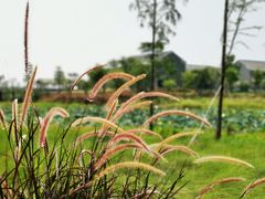 -崖口红树林海鲜餐厅