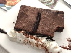 -喵的天空名猫咖啡馆·撸猫·猫舍·用品