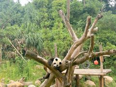 -宁波野生动物园