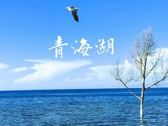 -青海湖国家重点风景名胜区