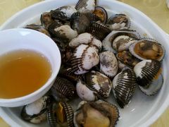 毛蛤蜊-海岛渔村大酒店(云霄路店)