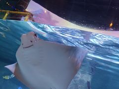 -沈阳海洋探索中心