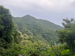 -梧桐山风景名胜区