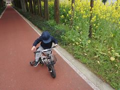 -上海长兴岛郊野公园