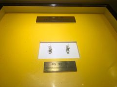 -上海昆虫博物馆