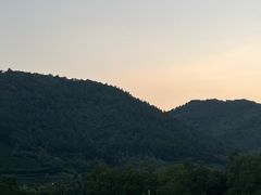 -径山花海