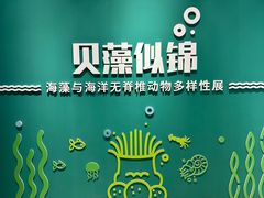 -大连自然博物馆
