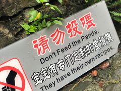 -都江堰中华大熊猫苑