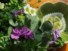 -百年同和·江南点心院(山塘街店)