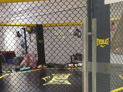 -FLARE STAR FITNESS(复地活力城店)