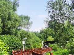 -大亚湾红树林城市湿地公园
