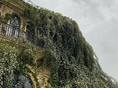 -府河摄影公园