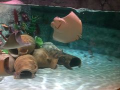 -沈阳海洋探索中心