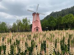 -顺峰山公园