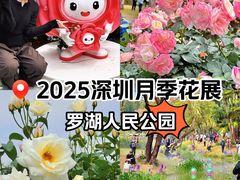 -人民公园(罗湖区)