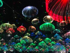 -武汉5D星空错觉艺术馆(中心百货店)