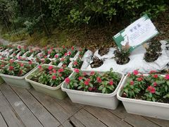 -凯德广场(金牛店)