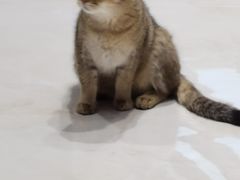 -鹏欣水游城